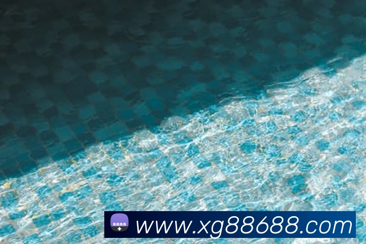 8868体育全站App 8868体育全站App